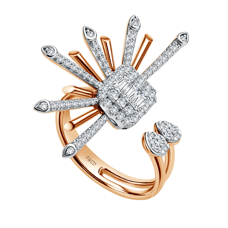 Frank & co. Love Poetry Amorem Soley Ladies Ring