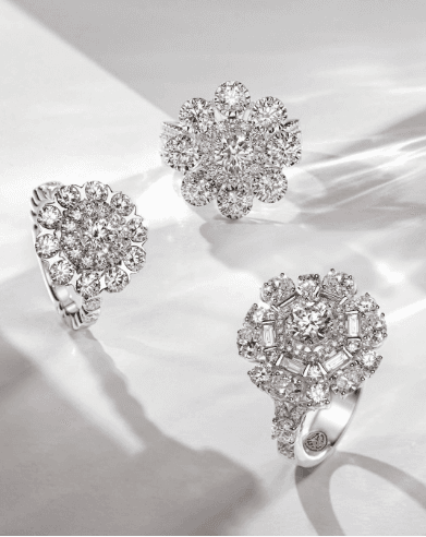 Frank Treasure, Perhiasan Pernyataan Gaya yang Tak Terlupakan