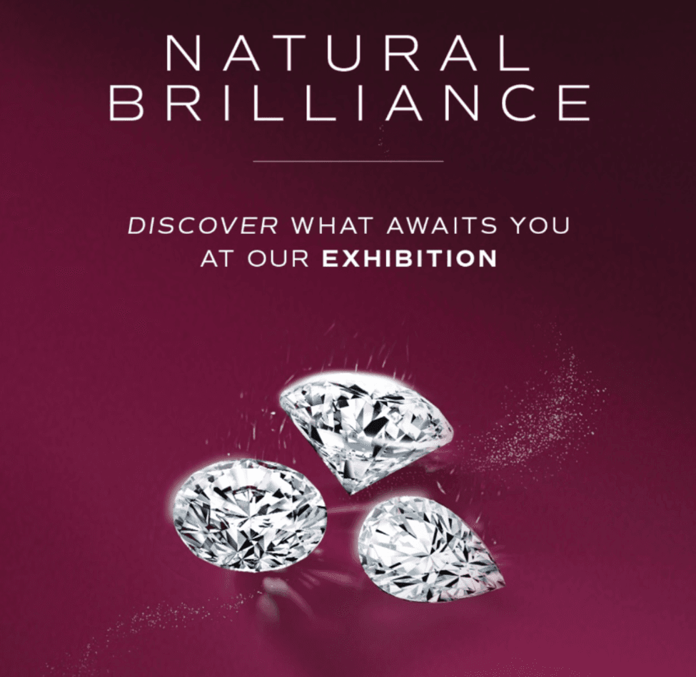 Celebrating Frank & co.'s 29 Years of Natural Brilliance